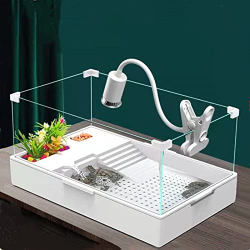 Schildkröten-Tank-Aquarium, Tank Terrapin See mit Wasserpumpe für Haustier-Schildkröten, Reptilien-Lebensraum von Geegoods