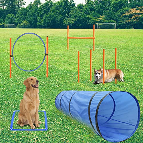 GeerDuo Agility-Trainingsgerät für Hunde, Hindernis-Agility-Training, Starter-Set für Hunde, Haustier-Outdoor-Spiele inklusive Tunnel, 8 gewebte Stangen, verstellbare Hürde, Sprungring, Pause-Box GeerDuo Agility-Trainingsgerät für Hunde, Hindernis-Agility-Training, Starter-Set für Hunde, Haustier-Outdoor-Spiele inklusive Tunnel, 8 gewebte Stangen, verstellbare Hürde, Sprungring, Pause-Box von GeerDuo