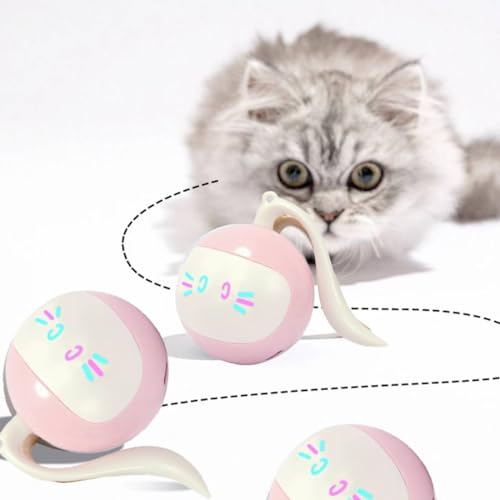 Gehanico 2024 Neues intelligentes Haustierspielzeug, 360 Grad Selbstrollendes interaktives Spielzeug Haustiere Teaser-Ball, Jagd-Übungsspielzeug für Kätzchen, Haustiere (Pink) von Gehanico