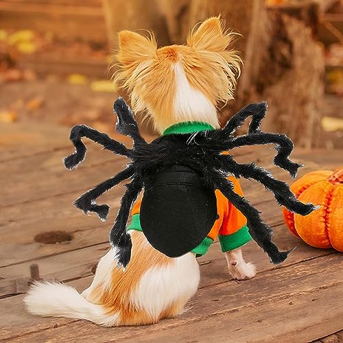 Gehanico Halloween Spinnenkostüm für Hund Katze Hundekostüm Halloween Haustier-Kostüm Pelziges Lebendiges Cosplay Kostüm Haustierkleidung für Halloween Cosplay Party (Schwarz 40-55cm) von Gehanico