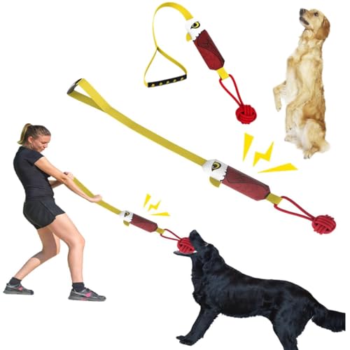 Gehanico Hundespielzeug aus Seil, quietschendes Spielzeug für aggressive Kauer, unzerstörbar, interaktives Tauziehen, Seilspielzeug für mittelgroße Hunde, Langeweile, Kauen, Zahnen (Adler, 2 Stück) Gehanico Hundespielzeug aus Seil, quietschendes Spielzeug für aggressive Kauer, unzerstörbar, interaktives Tauziehen, Seilspielzeug für mittelgroße Hunde, Langeweile, Kauen, Zahnen (Adler, 2 Stück) von Gehanico