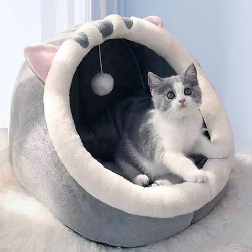 Gehanico Katzenbetten für den Innenbereich mit Spielzeug zum Aufhängen, 2024, kleines Hundehöhlenbett, Kätzchen-Zelt, Haus, abnehmbares gepolstertes Kissen, superweich, beruhigende Gehanico Katzenbetten für den Innenbereich mit Spielzeug zum Aufhängen, 2024, kleines Hundehöhlenbett, Kätzchen-Zelt, Haus, abnehmbares gepolstertes Kissen, superweich, beruhigende von Gehanico