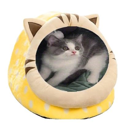 Gehanico Katzenbetten für den Innenbereich mit Spielzeug zum Aufhängen, kleines Hundehöhlenbett, Kätzchen-Zelt, Haus, abnehmbares gepolstertes Kissen, superweich, beruhigende Haustier-Sofa-Matten, Gehanico Katzenbetten für den Innenbereich mit Spielzeug zum Aufhängen, kleines Hundehöhlenbett, Kätzchen-Zelt, Haus, abnehmbares gepolstertes Kissen, superweich, beruhigende Haustier-Sofa-Matten, von Gehanico
