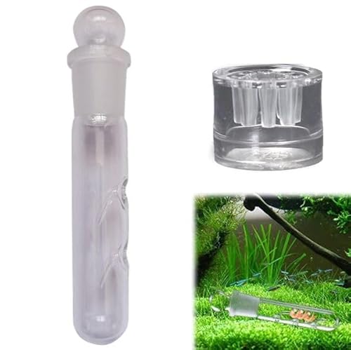 Gehanico Planaria-Falle aus Glas, 2024, Plaugenfänger, Planaria-Falle für Kirschgarnelen, Kristall, rote Garnelenfalle für Aquarium, 1 Stück Gehanico Planaria-Falle aus Glas, 2024, Plaugenfänger, Planaria-Falle für Kirschgarnelen, Kristall, rote Garnelenfalle für Aquarium, 1 Stück von Gehanico