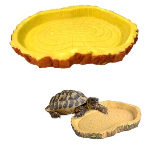 Gehanico Reptilien-Futternapf für Schildkröten, Futter und Blätter, Reptilienfutter, Schildkrötenhaus, Trinknapf, Wassernapf, Wassernapf, Lebensraum, Dekoration für Reptilien, Schildkröte, Eidechse (1 Gehanico Reptilien-Futternapf für Schildkröten, Futter und Blätter, Reptilienfutter, Schildkrötenhaus, Trinknapf, Wassernapf, Wassernapf, Lebensraum, Dekoration für Reptilien, Schildkröte, Eidechse (1 von Gehanico