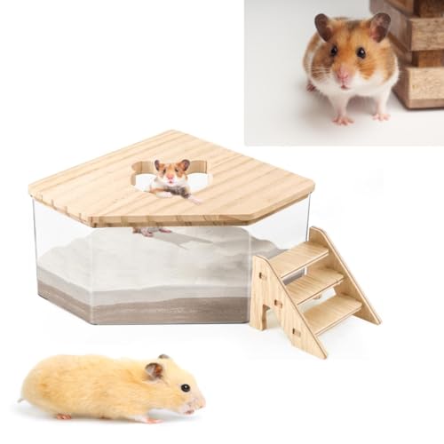Hamster Sandbad Behälter Transparent Acryl Sand Badezimmer für Hamster mit Leiter und Naturholzabdeckung Haustier Hamster Badezimmer Zubehör für Rennmäuse Ratten Mäuse (Fentagon) von Gehanico