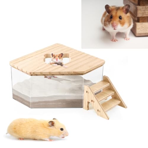 Hamster Sandbad Behälter Transparent Acryl Sand Badezimmer für Hamster mit Leiter und Naturholzabdeckung Haustier Hamster Badezimmer Zubehör für Rennmäuse Ratten Mäuse (Fentagon) von Gehanico