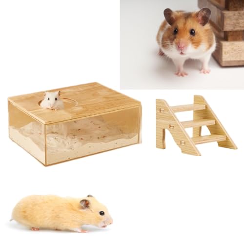 Hamster Sandbadbehälter Transparenter Acrylsand Badezimmer für Hamster mit Leiter und Naturholzabdeckung Haustier Hamster Badzubehör für Rennmäuse Ratten Mäuse (Quadratisch) von Gehanico