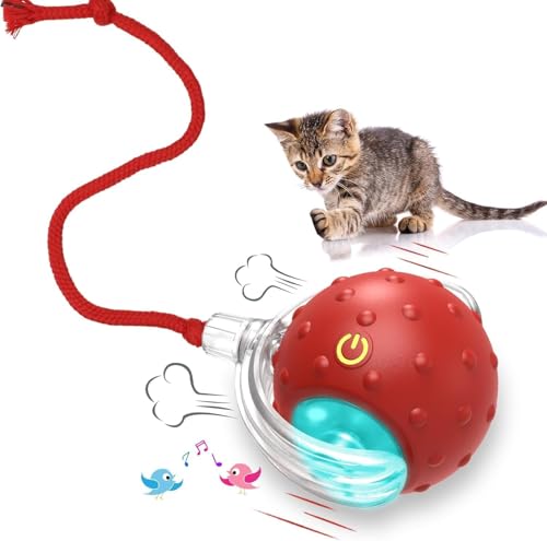 Katzenspielzeug, interaktiver Ball, interaktives Spielzeug für den Innenbereich, mit bewegungsaktiviertem Zwitschern, schnelles Rollen auf Teppich, glückliches Spiel mit Kätzchen, Verstecken und Katzenspielzeug, interaktiver Ball, interaktives Spielzeug für den Innenbereich, mit bewegungsaktiviertem Zwitschern, schnelles Rollen auf Teppich, glückliches Spiel mit Kätzchen, Verstecken und von Gehanico