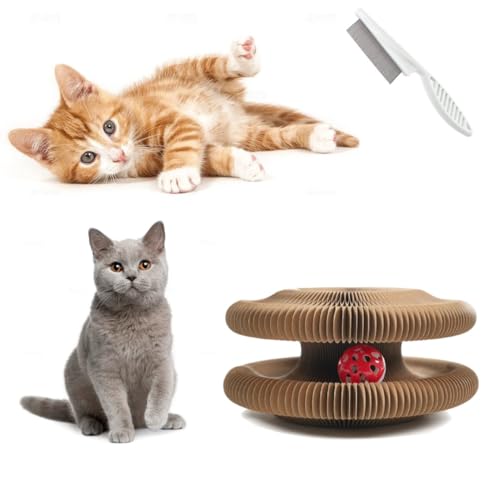 Kitty Kurlz Katzenspielzeug, Katzenakkordeonspielzeug interaktives Kratzpad faltbares Akkordeonkatzenspielzeug Katzenspielzeug Geschenke für Katzen das Produkt wird mit einem Flohkamm geliefert (1STK) Kitty Kurlz Katzenspielzeug, Katzenakkordeonspielzeug interaktives Kratzpad faltbares Akkordeonkatzenspielzeug Katzenspielzeug Geschenke für Katzen das Produkt wird mit einem Flohkamm geliefert (1STK) von Gehanico