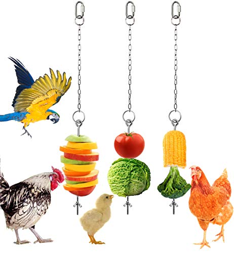 Geila Hühner-Gemüse-Spieß, Obstfutter-Halter, Hühner-Spielzeug für Hühner, Gemüse, hängendes Futterspender, Spielzeug, Edelstahl, Futterspieß für Hühner, große Vögel, Leckerli-Spieß (3 Stück) Geila Hühner-Gemüse-Spieß, Obstfutter-Halter, Hühner-Spielzeug für Hühner, Gemüse, hängendes Futterspender, Spielzeug, Edelstahl, Futterspieß für Hühner, große Vögel, Leckerli-Spieß (3 Stück) von Geila