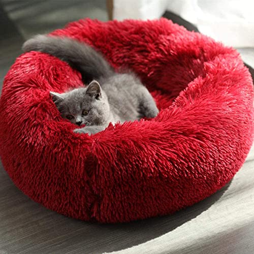 Geizire Katzenbett Hundebett für Katzen, kleine/mittelgroße Hunde, waschbar, Donut, beruhigend, rund, weich, flauschig, warm und gemütlich, Gelenkentlastung Haustierbett (Medium, Rot) von Geizire