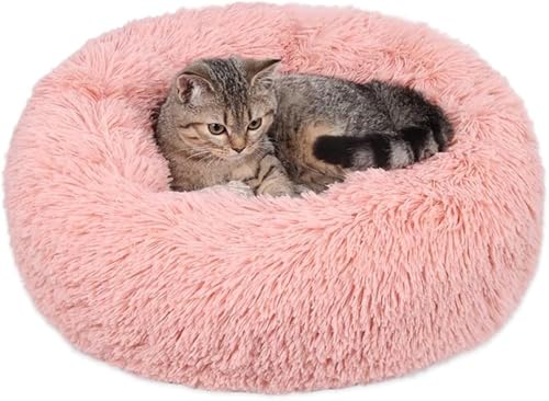 Geizire Katzenbetten für Katzen im Innenbereich, 50.8 cm, rund, Donut, waschbar, beruhigend, rundes Katzenbett, weich, flauschig, warm und gemütlich, Anti-Angst-Kuschelbett, Katzenbett (Medium, Rosa) Geizire Katzenbetten für Katzen im Innenbereich, 50.8 cm, rund, Donut, waschbar, beruhigend, rundes Katzenbett, weich, flauschig, warm und gemütlich, Anti-Angst-Kuschelbett, Katzenbett (Medium, Rosa) von Geizire