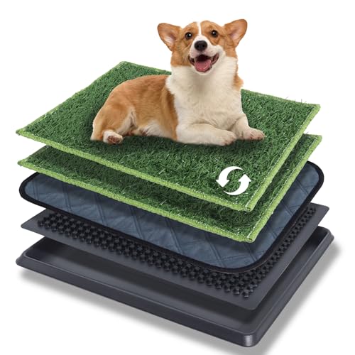 Gekufa Hundetoilette mit Tablett, 40×50 cm Hundeklo für Welpen Training, Kunstrasen Trainingsunterlage Indoor Outdoor, Welpentoilette mit 2 Hunde Gras Pad ist Wiederverwendbar und Einfach zu Reinigen Gekufa Hundetoilette mit Tablett, 40×50 cm Hundeklo für Welpen Training, Kunstrasen Trainingsunterlage Indoor Outdoor, Welpentoilette mit 2 Hunde Gras Pad ist Wiederverwendbar und Einfach zu Reinigen von Gekufa