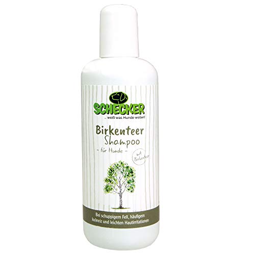 Gelavet Birkenteer Shampoo bei Juckreiz und Schuppen für Hunde von Gelavet