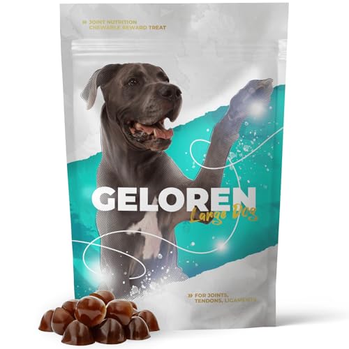 Geloren Ergänzungsmittel für Hunde, HA Large Dog 420 g von Geloren