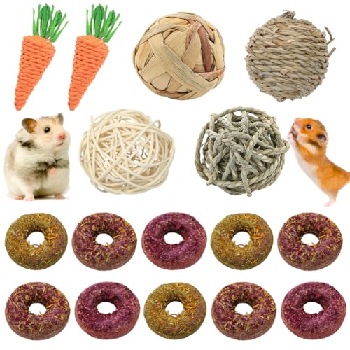 Hamster Spielzeug, Kaninchen Meerschweinchen Ratten Spielzeug 16 Stück, Kleintierspielzeug Ball Donuts Blume Gras Kuchen Karotte Spielzeug Für Haustier Hasen Zwerghamster Chinchilla von Geluode