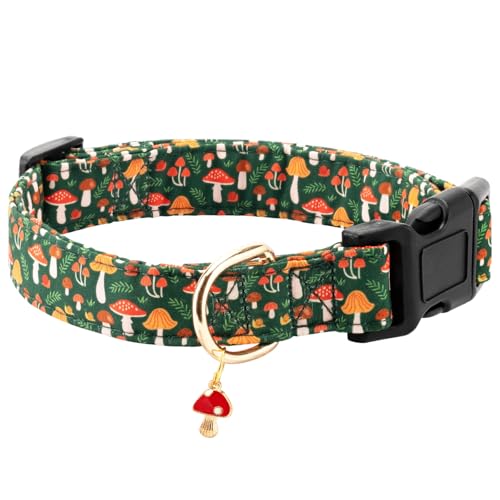 Gelwoo Herbst-Hundehalsband, weiche und niedliche Baumwoll-Welpenhalsbänder mit Pilzmuster, für Mädchen, Hündinnen, Jungen, Hunde, verstellbare Schnalle, Haustierhalsband für kleine, mittelgroße und Gelwoo Herbst-Hundehalsband, weiche und niedliche Baumwoll-Welpenhalsbänder mit Pilzmuster, für Mädchen, Hündinnen, Jungen, Hunde, verstellbare Schnalle, Haustierhalsband für kleine, mittelgroße und von Gelwoo
