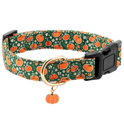 Gelwoo Herbst-Hundehalsband, weiches und niedliches Halloween-Halsband mit Kürbis-Muster, für Mädchen, Hündinnen, Jungen, Hunde, verstellbare Schnalle, Haustierhalsband für kleine, mittelgroße und Gelwoo Herbst-Hundehalsband, weiches und niedliches Halloween-Halsband mit Kürbis-Muster, für Mädchen, Hündinnen, Jungen, Hunde, verstellbare Schnalle, Haustierhalsband für kleine, mittelgroße und von Gelwoo