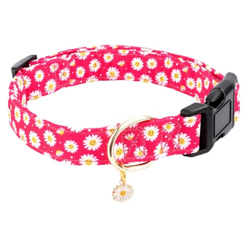 Gelwoo Hundehalsband aus Baumwolle, weich und niedlich, Welpenhalsband mit Blumenmuster, für Mädchen, Hündinnen, Jungen, Hunde, verstellbare Schnalle, Haustierhalsband für kleine, mittelgroße und Gelwoo Hundehalsband aus Baumwolle, weich und niedlich, Welpenhalsband mit Blumenmuster, für Mädchen, Hündinnen, Jungen, Hunde, verstellbare Schnalle, Haustierhalsband für kleine, mittelgroße und von Gelwoo