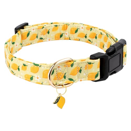 Gelwoo Hundehalsband aus Baumwolle, weich und niedlich, Welpenhalsband mit Zitronenmuster, für Mädchen, Hündinnen, Jungen, Hunde, verstellbare Schnalle, Haustierhalsband für kleine, mittelgroße und Gelwoo Hundehalsband aus Baumwolle, weich und niedlich, Welpenhalsband mit Zitronenmuster, für Mädchen, Hündinnen, Jungen, Hunde, verstellbare Schnalle, Haustierhalsband für kleine, mittelgroße und von Gelwoo