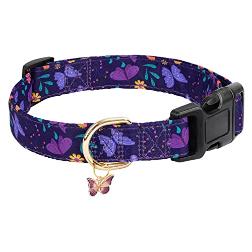 Gelwoo Hundehalsband mit Schnalle, verstellbar, für süße Mädchen, weibliche und Jungen, besonders weich und ausgefallen, mit Blumen-Design für kleine, mittelgroße und große Hunde (XS, violetter Gelwoo Hundehalsband mit Schnalle, verstellbar, für süße Mädchen, weibliche und Jungen, besonders weich und ausgefallen, mit Blumen-Design für kleine, mittelgroße und große Hunde (XS, violetter von Gelwoo