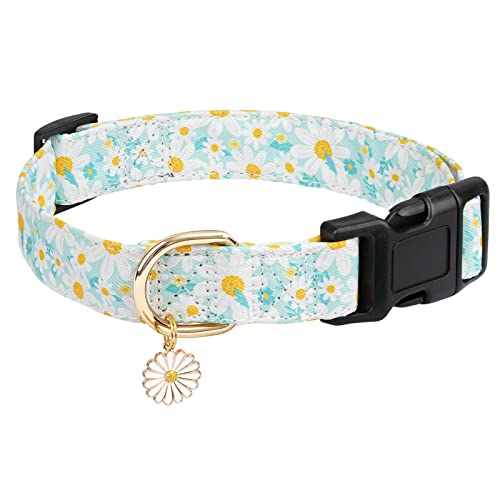 Gelwoo Hundehalsband mit Schnalle, verstellbar, für süße Mädchen, weibliche und Jungen, besonders weich und ausgefallen, mit Blumen-Design für kleine, mittelgroße und große Hunde (XS, Gelwoo Hundehalsband mit Schnalle, verstellbar, für süße Mädchen, weibliche und Jungen, besonders weich und ausgefallen, mit Blumen-Design für kleine, mittelgroße und große Hunde (XS, von Gelwoo