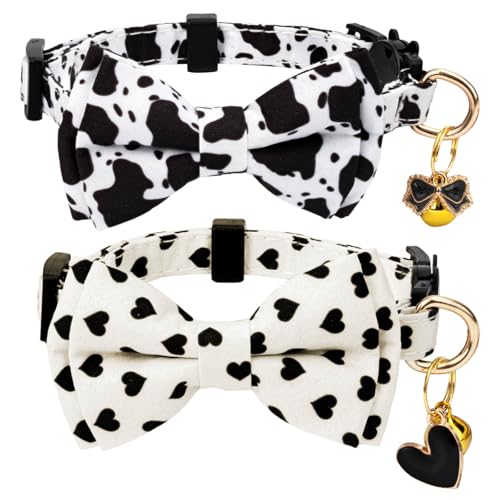 Gelwoo Katzenhalsband aus Baumwolle mit Fliege und Glöckchen für männliche und weibliche Katzen, weich, ausgefallenes Katzenhalsband mit grünem und rosa Dinosaurier-Muster für Jungen, Mädchen, Katzen, Gelwoo Katzenhalsband aus Baumwolle mit Fliege und Glöckchen für männliche und weibliche Katzen, weich, ausgefallenes Katzenhalsband mit grünem und rosa Dinosaurier-Muster für Jungen, Mädchen, Katzen, von Gelwoo