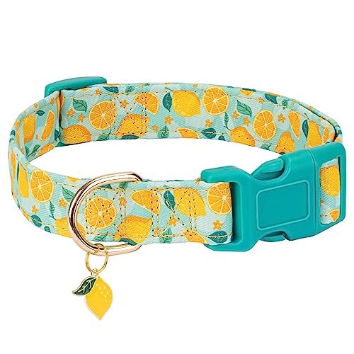 Gelwoo Niedliches Hundehalsband, verstellbar und leicht, für Mädchen, Hündinnen, Jungen, weiches und schickes Sommer-Hundehalsband mit Zitrone, spezielles Design, Haustierhalsband für kleine, Gelwoo Niedliches Hundehalsband, verstellbar und leicht, für Mädchen, Hündinnen, Jungen, weiches und schickes Sommer-Hundehalsband mit Zitrone, spezielles Design, Haustierhalsband für kleine, von Gelwoo
