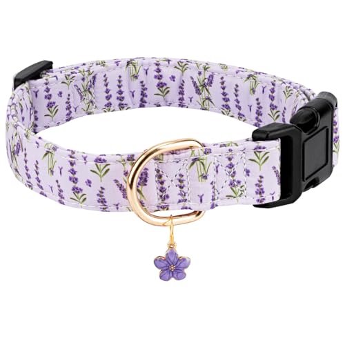 Gelwoo Personalisiertes Hundehalsband, verstellbares Welpenhalsband mit Sicherheitsschnalle für kleine, mittelgroße und große Hunde, niedliches und einzigartiges rosa Kirschmuster, Haustierhalsband Gelwoo Personalisiertes Hundehalsband, verstellbares Welpenhalsband mit Sicherheitsschnalle für kleine, mittelgroße und große Hunde, niedliches und einzigartiges rosa Kirschmuster, Haustierhalsband von Gelwoo