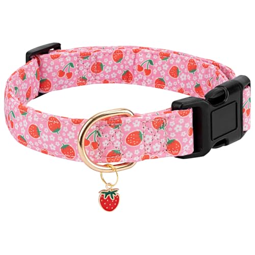 Gelwoo Personalisiertes Hundehalsband, verstellbares Welpenhalsband mit Sicherheitsschnalle für kleine, mittelgroße und große Hunde, niedliches und einzigartiges rosa Kirschmuster, Haustierhalsband Gelwoo Personalisiertes Hundehalsband, verstellbares Welpenhalsband mit Sicherheitsschnalle für kleine, mittelgroße und große Hunde, niedliches und einzigartiges rosa Kirschmuster, Haustierhalsband von Gelwoo