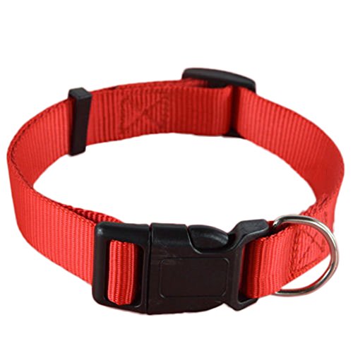 Gemini_mall® Hundehalsband, verstellbar, Nylon, mit Schnalle und Clip, Rot von Gemini_mall