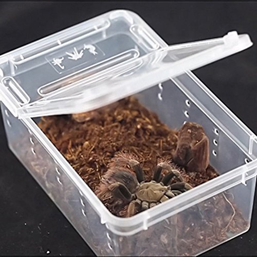 Gemini_mall Tierpfleger, transparente Kunststoffbox, Tank, Insekten, Spinnen, Reptilien, Zuchtbox, Transport, Futterkoffer für Mini-Haustierhäuser, transparent Gemini_mall Tierpfleger, transparente Kunststoffbox, Tank, Insekten, Spinnen, Reptilien, Zuchtbox, Transport, Futterkoffer für Mini-Haustierhäuser, transparent von Gemini_malll