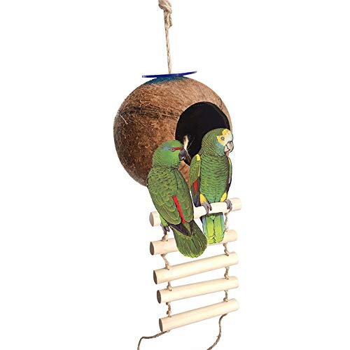 Gemini_mall Vogelnest aus natürlicher Kokosnussschale, für Papageien, Wellensittiche, Nymphensittiche, Kanarienvögel, Finken, Taube, Hamster, Ratten, Rennmäuse, Mäuse, Käfig-Futterspender Gemini_mall Vogelnest aus natürlicher Kokosnussschale, für Papageien, Wellensittiche, Nymphensittiche, Kanarienvögel, Finken, Taube, Hamster, Ratten, Rennmäuse, Mäuse, Käfig-Futterspender von Gemini_malll