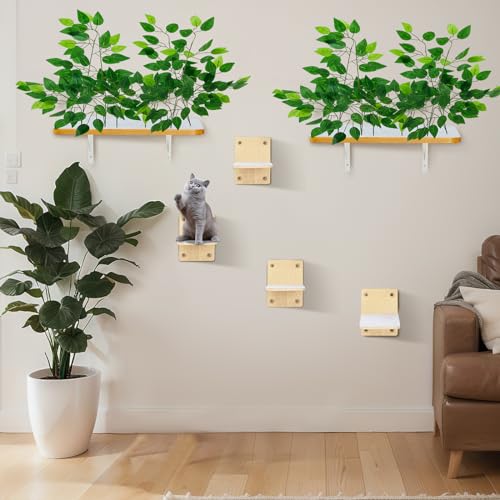 Gemscream 2 Stück Katzen-Wandregale Wandmontage Katzenregale und Sitzstangen mit 4 Stufen Katzenwandmöbel für Katzen Kätzchen Kitty Indoor Wohnzimmer Klettern Kratzen Spielen und Entspannen Spielplatz Gemscream 2 Stück Katzen-Wandregale Wandmontage Katzenregale und Sitzstangen mit 4 Stufen Katzenwandmöbel für Katzen Kätzchen Kitty Indoor Wohnzimmer Klettern Kratzen Spielen und Entspannen Spielplatz von Gemscream