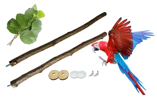 2 große Vogel Sitzstangen Sitzstange Natur frisch 42cm + Bund fri. Zweige Sitzbretter Spielzeug Käfig Vogelstange Vogelsitzstangen Haselnuss Set für alle Großvögel Kleinvögel Wellensittich von Generic