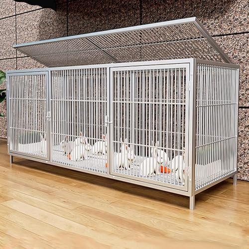2CM Gap Geräumiger Kaninchenstall Mit Großem Dachfenster, Hühnerstall Für Innen/Außen Mit Gitterfußmatte Für Kleine Tiere Und Geflügel(Silver,147 * 50 * 60cm) von Generic