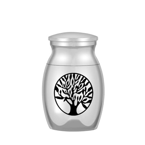 3 Pcs Mini-Urnen für Menschliche Asche - Metallische Andenken Urne für Haustiere, Silber(A20) von Generic