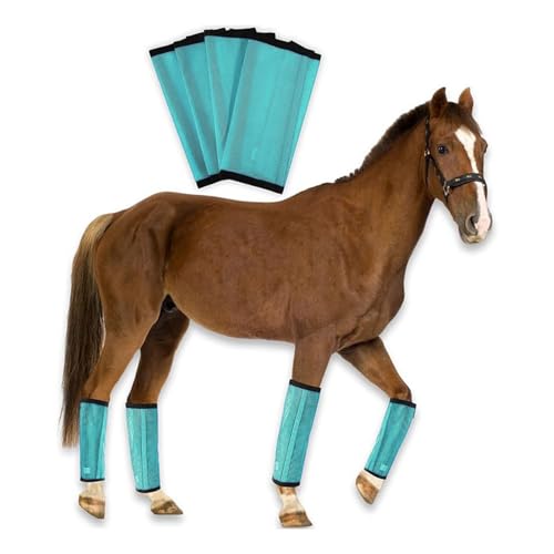 4 Stück Horses Fly Boots Reitschutz-Set, Atmungsaktive Feinmaschige Fliegengamaschen für Pferde rutschfeste Gamaschen für Pferdehufe Anti-Fliegenbisse (Grün) von Generic