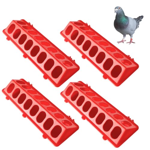 4 x Flip-Top-Futterspender für Tauben, keine Unordnung und kein Abfall, Wachtel- und Entchen-Futterspender 4 x Flip-Top-Futterspender für Tauben, keine Unordnung und kein Abfall, Wachtel- und Entchen-Futterspender von Generic