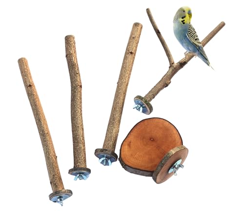 5 Vogel Sitzstangen Vogelkäfig Sitzstange Wellensittich frisch Käfig Natur Sitzstange Wellensittich, Nymphensittich, Kanarienvogel Naturholzstangen Vogel wichtiges Vogelzubehör im Vogelkäfig Zubehör von Generic