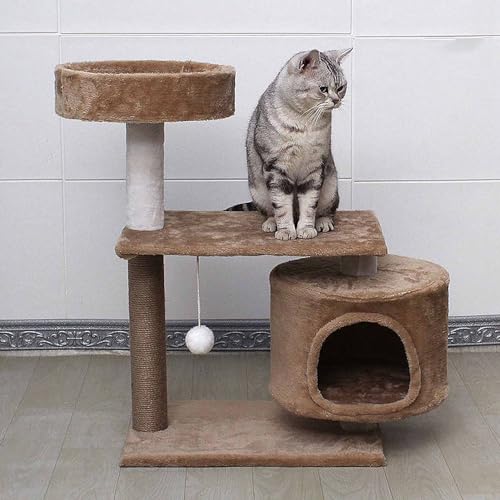76 cm großer Katzenbaumturm, Katzenkratzbaum mit Sitzstangen, Eigentumswohnung und hängendem Ball, Katzenmöbel, Kätzchenhaus für große Katzen im Innenbereich 76 cm großer Katzenbaumturm, Katzenkratzbaum mit Sitzstangen, Eigentumswohnung und hängendem Ball, Katzenmöbel, Kätzchenhaus für große Katzen im Innenbereich von Generic