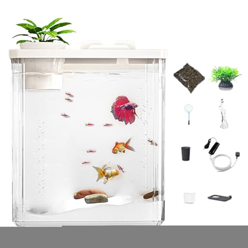 Acrilico di – Aquarium ohne Rahmen, ultra klar, Zuchtlebensraum | Mini Desktop ecgical mit LED-Umgebungslicht, Konfiguration der Luftpumpe für Acrilico di – Aquarium ohne Rahmen, ultra klar, Zuchtlebensraum | Mini Desktop ecgical mit LED-Umgebungslicht, Konfiguration der Luftpumpe für von Generic