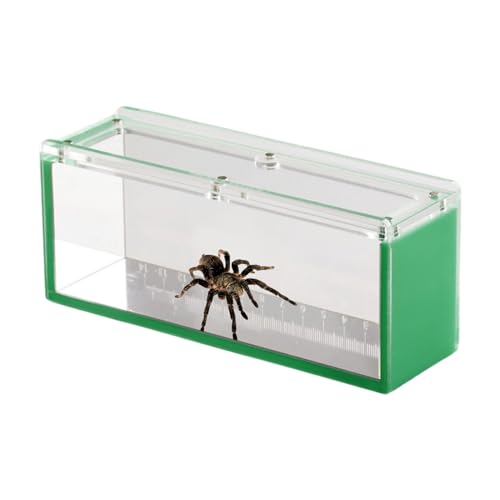 Acryl Fisch Zuchtbox, Acryl Fisch Beobachtung Fall mit Deckel | Aquatische Isolierung Züchter Box für Krabben, Schnecken, Spinnen von Generic