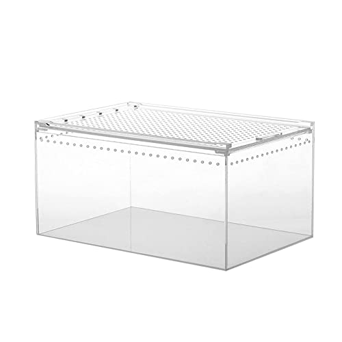 Acryl-Terrarium | Reptilien-Futterbox aus Acryl | Schlangenzuchtbehälter, transparente tragbare Schlupf-Inkubationsbox, Mini-Haustierhaus für Spinnen, Skorpione, von Generic