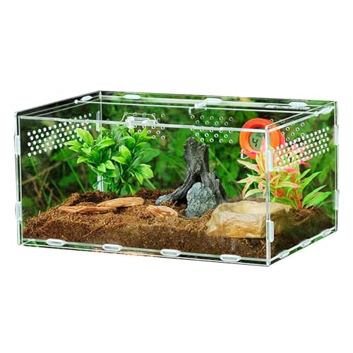Acrylrezeptilien: Larium-Tank, Aufzuchtkasten, Terrarium-Targent: präziser Fütterungsraum, Wirbellose Gecko, , Skorpion, Futterbereich, transparenter Acryl-Futter Acrylrezeptilien: Larium-Tank, Aufzuchtkasten, Terrarium-Targent: präziser Fütterungsraum, Wirbellose Gecko, , Skorpion, Futterbereich, transparenter Acryl-Futter von Generic