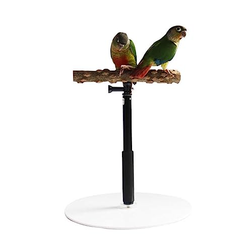 Adjutable Vogel Training Sitzstange, T Stand Papagei Training Spielen mit Basis Käfig von Generic