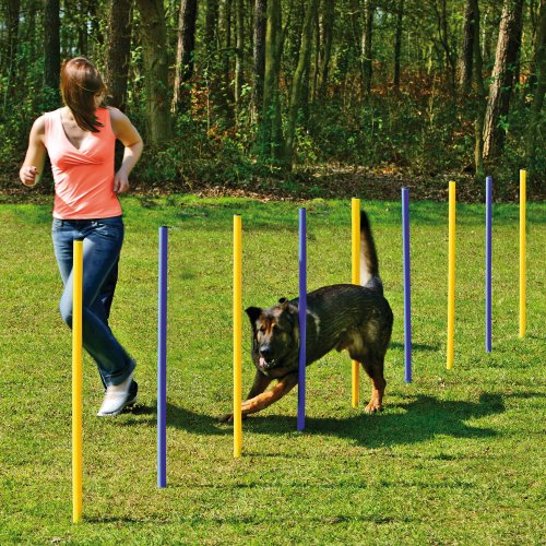 Agility-Slalom-Set, professionelles Stangen-Set – 6 Stangen, Trainingsstangen – Slalomstangen – Slalomstangen – Hundetraining, Sport und Wettkampf – Agility und Agility-Hund – Agility-Slalom-Set, professionelles Stangen-Set – 6 Stangen, Trainingsstangen – Slalomstangen – Slalomstangen – Hundetraining, Sport und Wettkampf – Agility und Agility-Hund – von Generic