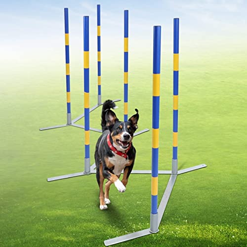 Agility-Trainingsset für Hunde – Hindernislauf – Kit für das Spielen im Garten – perfekt für kleine, mittelgroße und große Hunde – Outdoor-Spiel – Haustier-Essentials für Spaß und Bewegung – von Generic