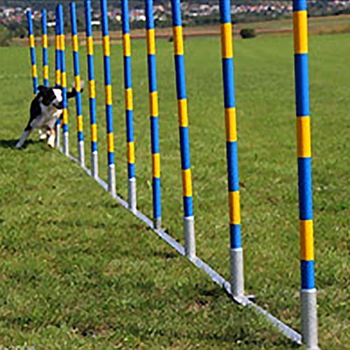 Agility-Trainingsset für Hunde – Hindernislauf – Kit für das Spielen im Garten – perfekt für kleine, mittelgroße und große Hunde – Outdoor-Spiel – Haustier-Essentials für Spaß und Bewegung – von Generic